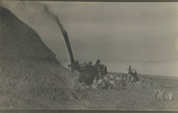 Threshing Gang