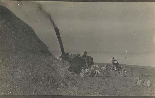 Threshing Gang