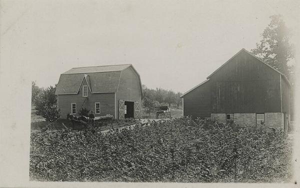 Farmstead with New Barn