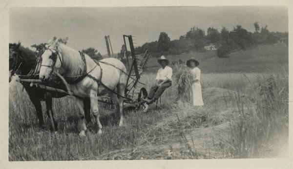 Farmer and Wife with a Reaper