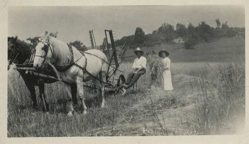 Farmer and Wife with a Reaper
