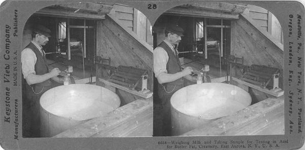 Weighing and Sampling Milk
