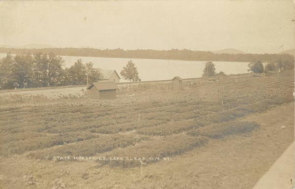 State Nurseries, Lake Clear, NY