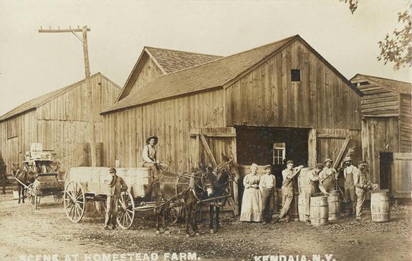 Scene at Homestead Farm