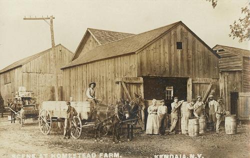 Scene at Homestead Farm