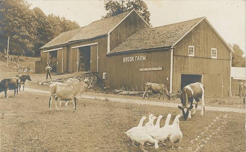 Brook Farm, Nassau County