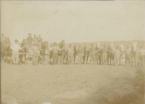 Men and Horses at Welken's Farm
