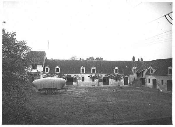 Horse Stable