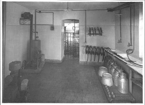 View Inside Milk House