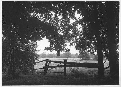 Fence in a Field
