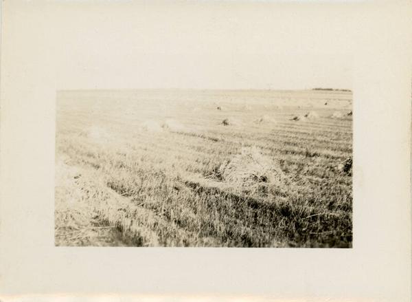Haystacks