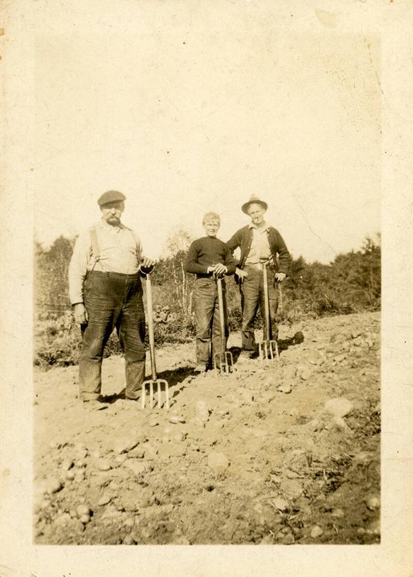 Three Men with Potato Forks