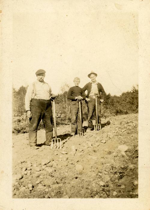 Three Men with Potato Forks