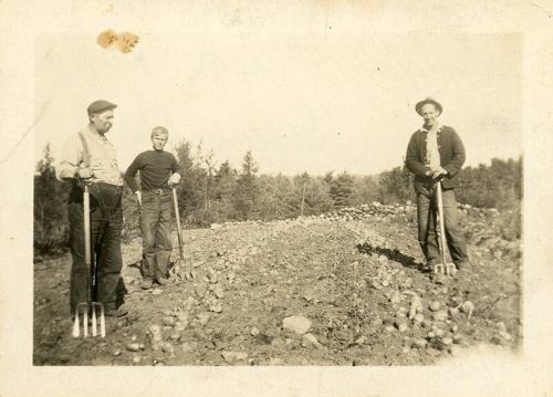 Three Men with Pitchforks (2)