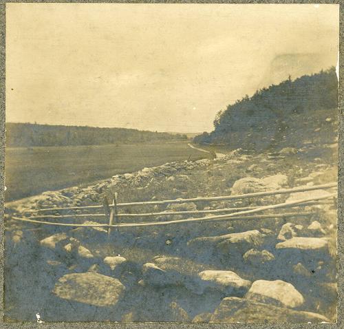 Field and Fence