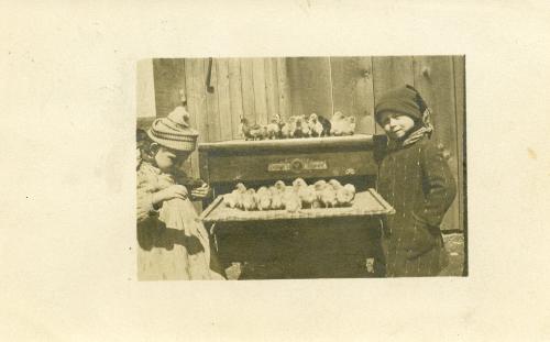 Two Children with Baby Chicks