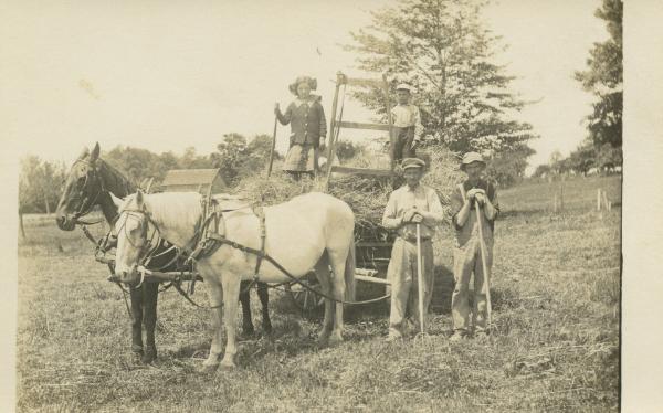 Two Horses Pulling a Hay Wagon