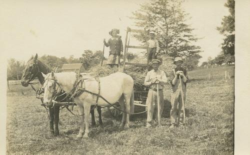 Two Horses Pulling a Hay Wagon