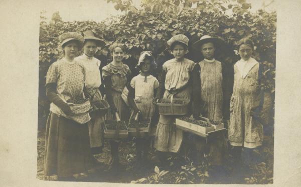 Raspberry Pickers