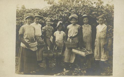 Raspberry Pickers
