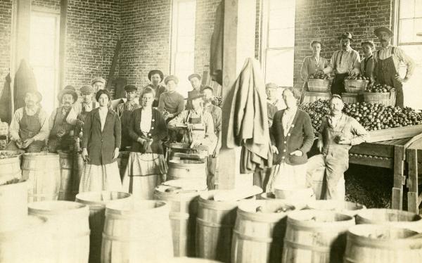 Workers at a Cider Mill