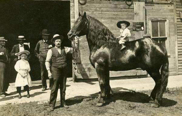 Little Child and Horse