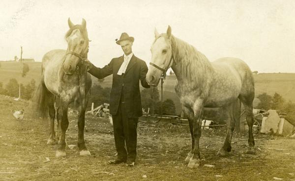 Man and Work Horses