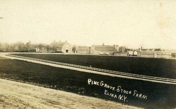 Pine Grove Stock Farm