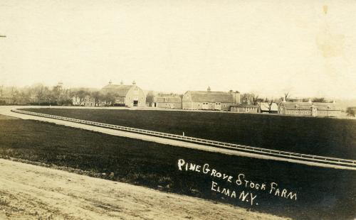 Pine Grove Stock Farm