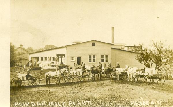 Powder Milk Plant