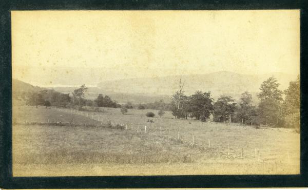 Fields and the Sleeping Lion