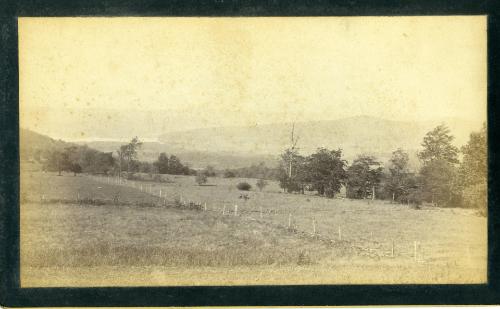 Fields and the Sleeping Lion