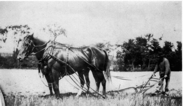 Plowing a Field