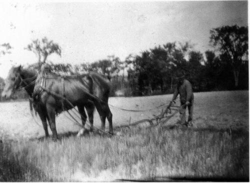 Plowing Another Field