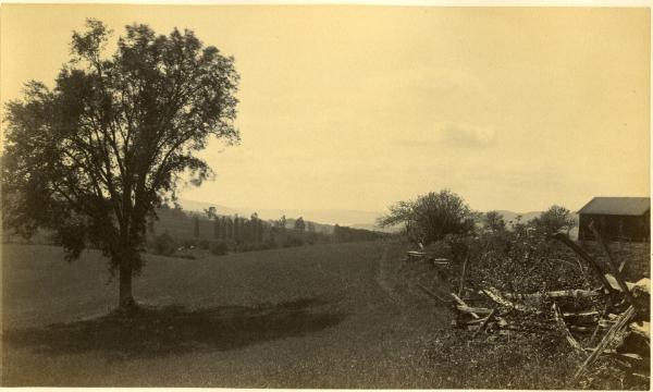 A Glimpse of Otsego Lake