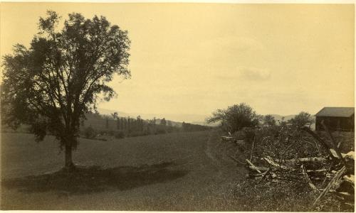 A Glimpse of Otsego Lake
