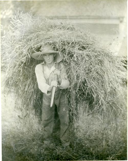 Boy Handling Loose Hay