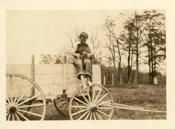 Little Girl on Wagon with Kittens