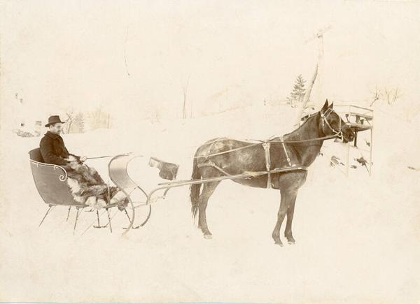 Man in Horse-drawn Sleigh
