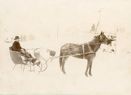 Man in Horse-drawn Sleigh
