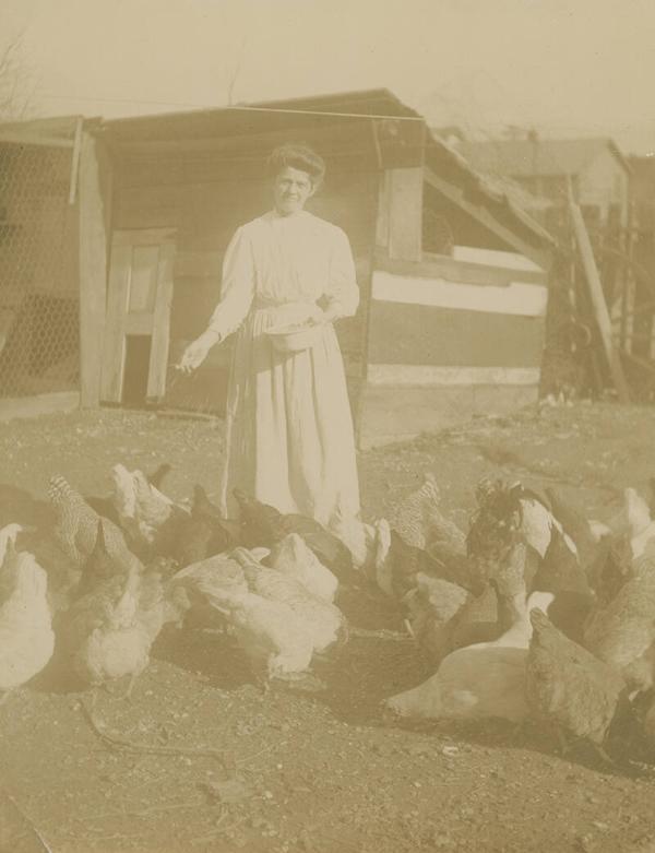 Woman Feeding Chickens