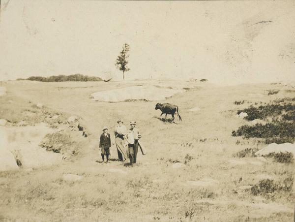 Walking through a Field