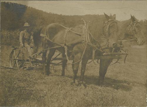 Man on Two Horse Plow