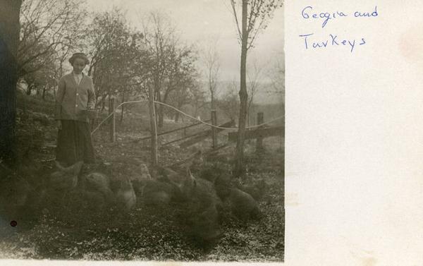 Georgia and Turkeys
