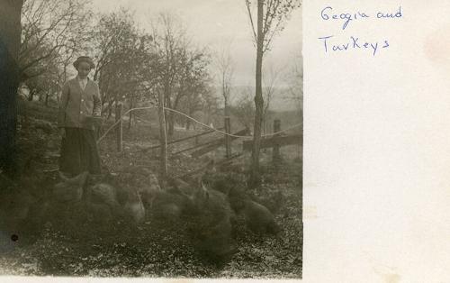 Georgia and Turkeys