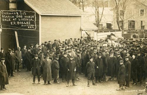 Carman and Co.'s Horse Sale