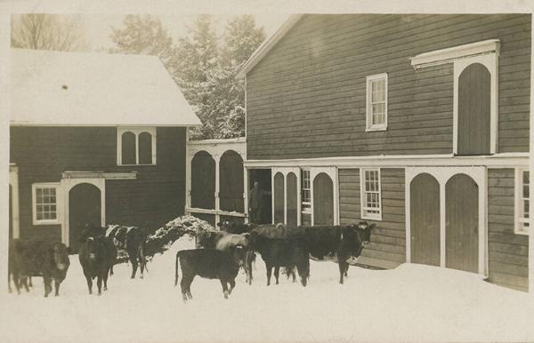 Cattle Barn, Binghamton, New York