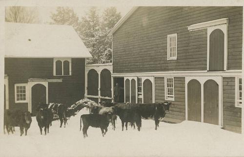Cattle Barn, Binghamton, New York