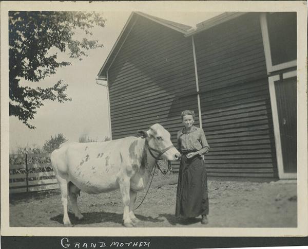 Grandmother with Cow