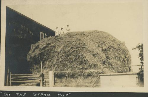 On The Straw Pile